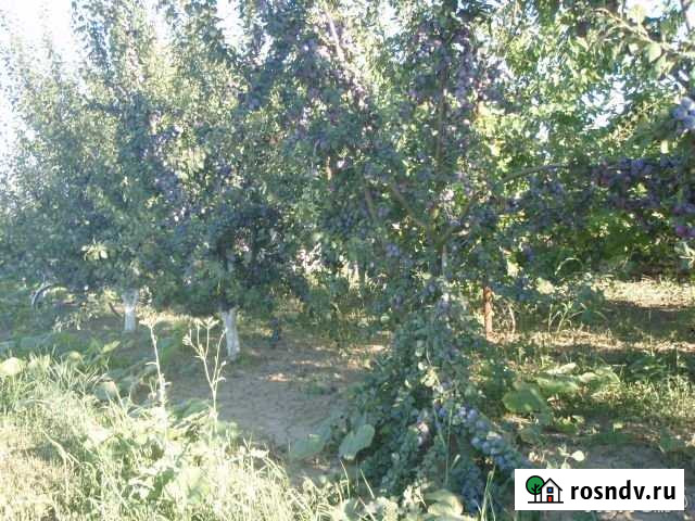 Участок ИЖС 10 сот. на продажу в Совхозном Краснодарского края Совхозный - изображение 1