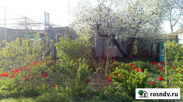 Дом 64 м² на участке 6 сот. на продажу в Тихорецке Тихорецк - изображение 1