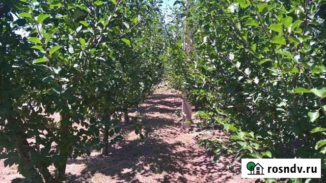 Участок ИЖС 10 сот. на продажу в Славянске-на-Кубани Славянск-на-Кубани - изображение 1