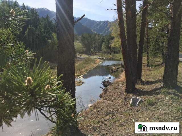 Участок СНТ, ДНП 263 сот. на продажу в Горно-Алтайске Горно-Алтайск - изображение 1