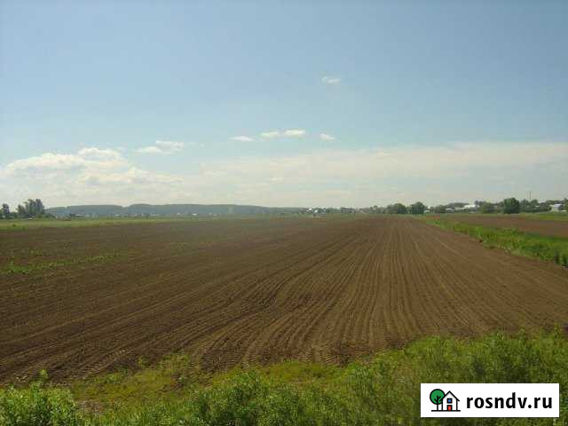 Участок СНТ, ДНП 10 сот. в аренду в Дзержинском Московской области Дзержинский - изображение 1