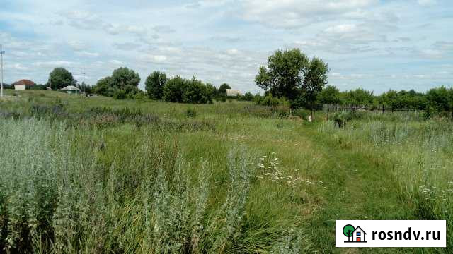 Участок ИЖС 20 сот. на продажу в Новой Усмани Новая Усмань - изображение 1