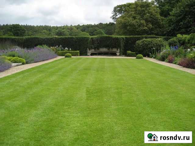 Участок ИЖС 8 сот. на продажу в Засечном Засечное - изображение 1