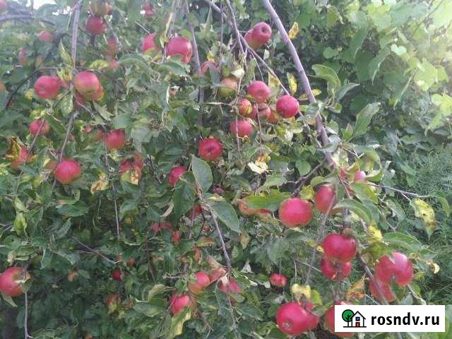 Участок ИЖС 15 сот. на продажу в Андрюках Андрюки - изображение 1