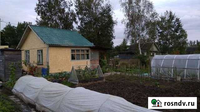 Дача 45 м² на участке 8 сот. на продажу в Восточном Восточное - изображение 1