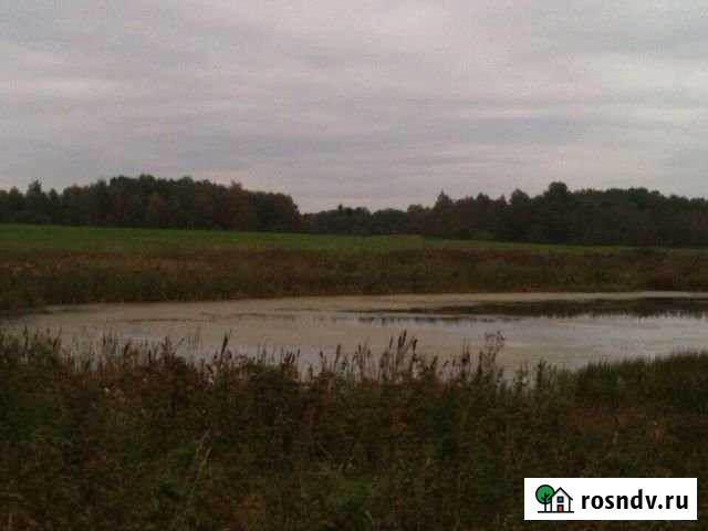 Участок промназначения 30 сот. на продажу в Краснозаводске Краснозаводск - изображение 1