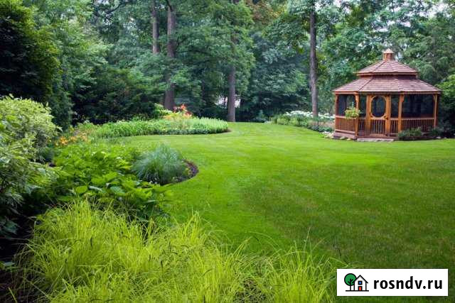 Участок СНТ, ДНП 7 сот. на продажу в Вольгинском Вольгинский - изображение 1