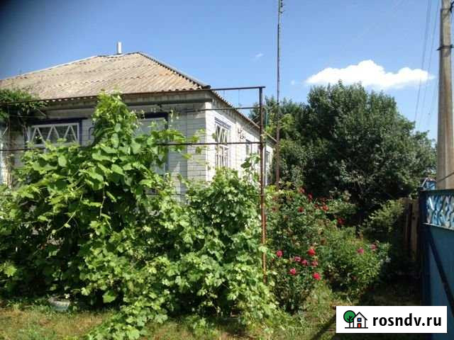 Дом 82 м² на участке 29 сот. на продажу в Вейделевке Вейделевка - изображение 1