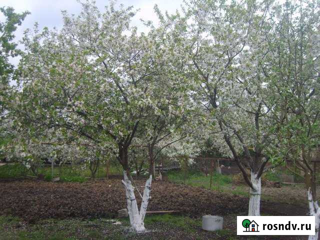 Коттедж 105 м² на участке 8 сот. на продажу в Гиагинской Гиагинская - изображение 1