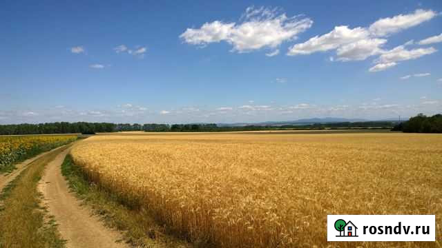 Участок СНТ, ДНП 11200 сот. на продажу в Ялге Ялга - изображение 1