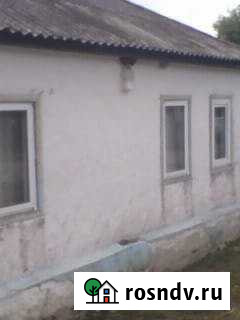 Дом 56 м² на участке 40 сот. на продажу в Роговатом Роговатое - изображение 1