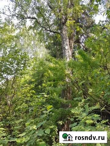 Участок ИЖС 15 сот. на продажу в Пушкино Пушкино - изображение 1