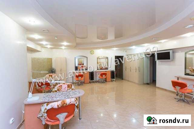 Помещение 170 кв.м.. Салон красоты Калининград - изображение 1