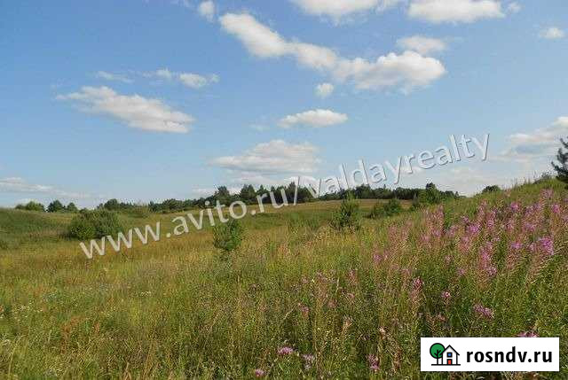 Участок СНТ, ДНП 415 сот. на продажу в Валдае Валдай - изображение 1