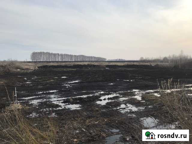 Участок ИЖС 12 сот. на продажу в Кочкурово Кочкурово - изображение 1