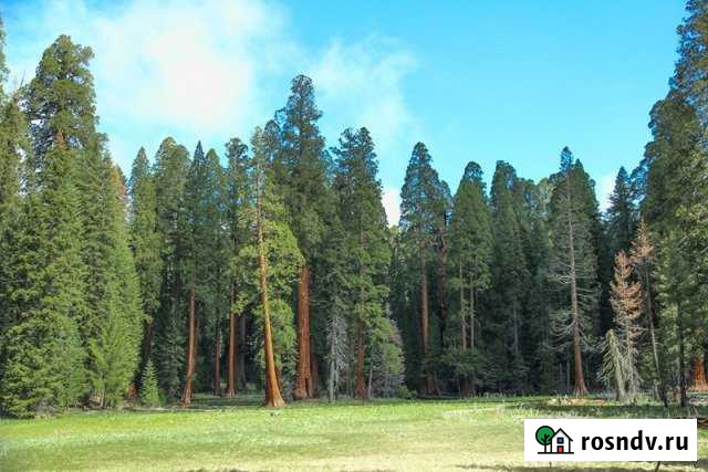 Участок СНТ, ДНП 15 сот. на продажу в Малой Вишере Малая Вишера - изображение 1