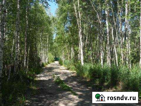 Участок СНТ, ДНП 6 сот. на продажу в Павловском Посаде Павловский Посад - изображение 1