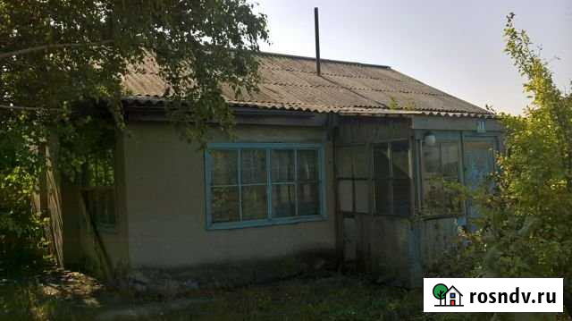 Дом 59 м² на участке 11 сот. на продажу в Топчихе Топчиха - изображение 1