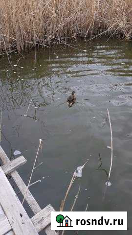 Дом 80 м² на участке 19 сот. на продажу в Копанской Копанская - изображение 1