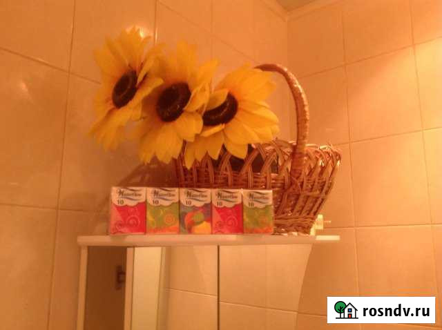 Квартира-студия, 31 м², 18/18 эт. в аренду на длительный срок в Ивантеевке Московской области Ивантеевка - изображение 1