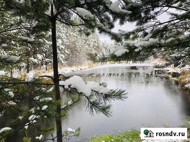 Дом 26.8 м² на участке 15 сот. на продажу в Николо-Павловском Николо-Павловское - изображение 1