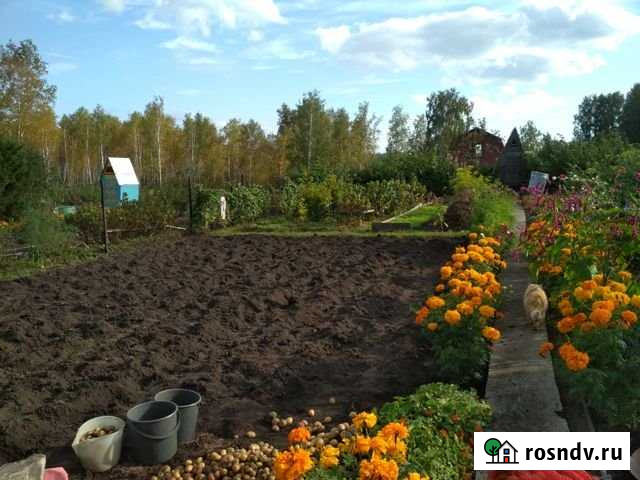 Дача 20 м² на участке 10 сот. на продажу в Кемерово Кемерово - изображение 1