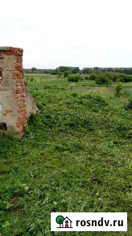 Участок ИЖС 12 сот. на продажу в Дракино Дракино - изображение 1