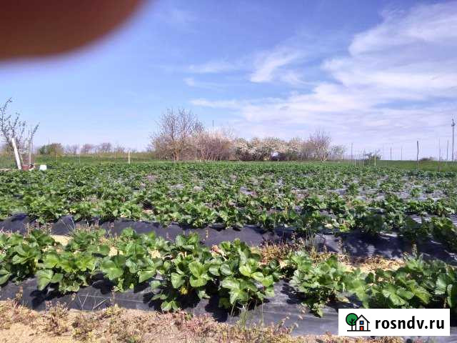 Участок ИЖС 28 сот. на продажу в Трудобеликовском Трудобеликовский - изображение 1