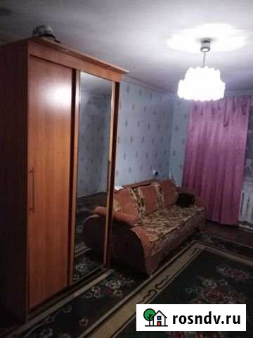 1-комнатная квартира, 30.3 м², 2/5 эт. в аренду на длительный срок в Кингисеппе Кингисепп - изображение 1