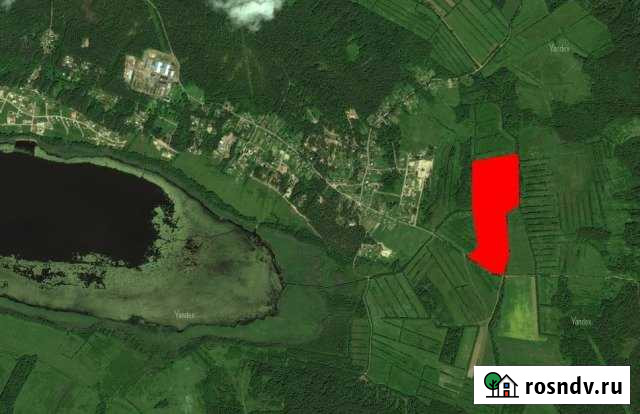 Участок СНТ, ДНП 1100 сот. на продажу в Санкт-Петербурге Санкт-Петербург - изображение 1