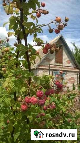 Дача 20 м² на участке 5 сот. на продажу в Павловске Воронежской области Павловск - изображение 1