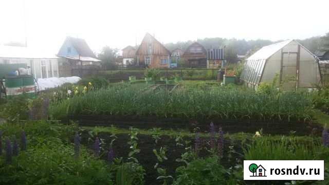 Дача 35 м² на участке 6 сот. на продажу в Коченево Коченево - изображение 1