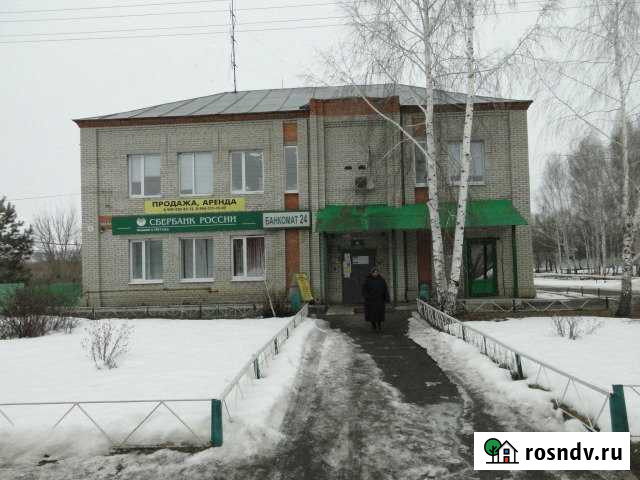 Помещение свободного назначения, 356 кв.м. Малая Сердоба - изображение 1