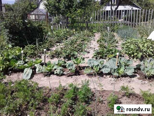 Дача 20 м² на участке 6 сот. на продажу в Йошкар-Оле Йошкар-Ола - изображение 1