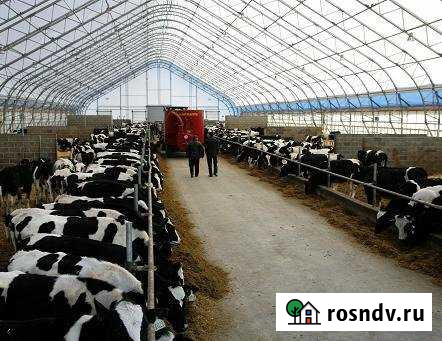 Участок СНТ, ДНП 100000 сот. на продажу в Волосово Волосово - изображение 1