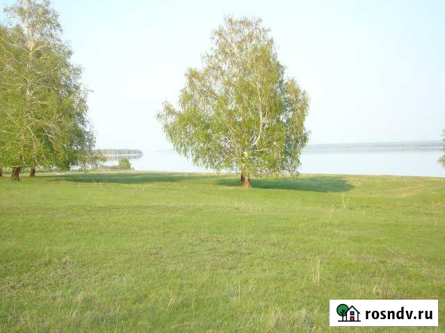 Участок СНТ, ДНП 437 сот. на продажу в Ордынском Ордынское - изображение 1