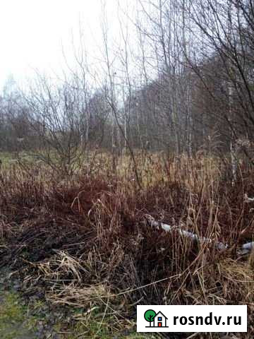 Участок промназначения 19936 сот. на продажу в Твери Тверь - изображение 1