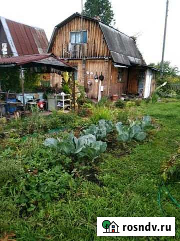 Дача 50 м² на участке 4 сот. на продажу в Мошково Мошково - изображение 1