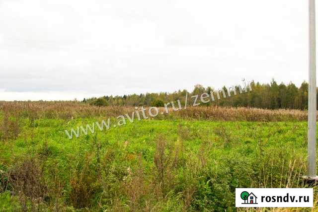 Участок СНТ, ДНП 11 сот. на продажу в Санкт-Петербурге Санкт-Петербург - изображение 1