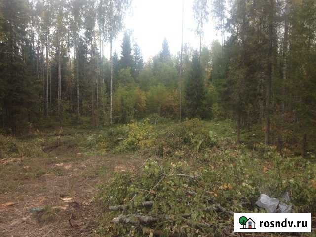 Участок СНТ, ДНП 15 сот. на продажу в Петрозаводске Петрозаводск - изображение 1