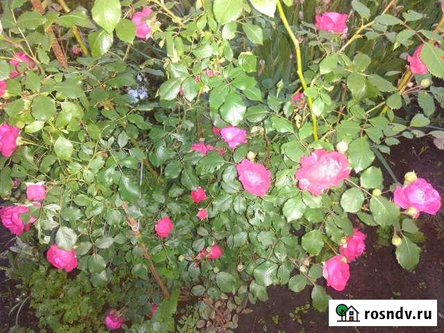 Участок ИЖС 8 сот. на продажу в Кстово Кстово - изображение 1