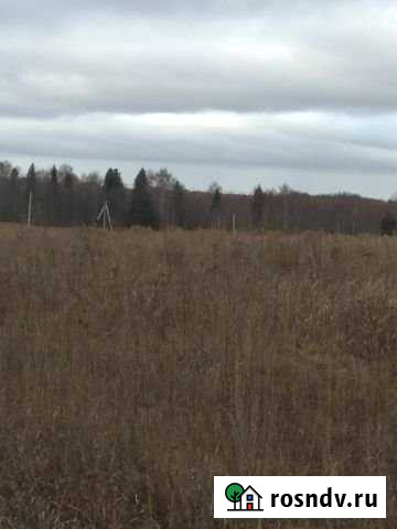 Участок ИЖС 12 сот. на продажу в Новом Республики Удмуртия Новый - изображение 1