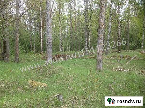 Участок ИЖС 25 сот. на продажу в Коммунарах Коммунары - изображение 1