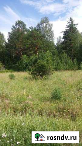 Участок СНТ, ДНП 30 сот. на продажу в Кедровом Красноярского края Кедровый - изображение 1