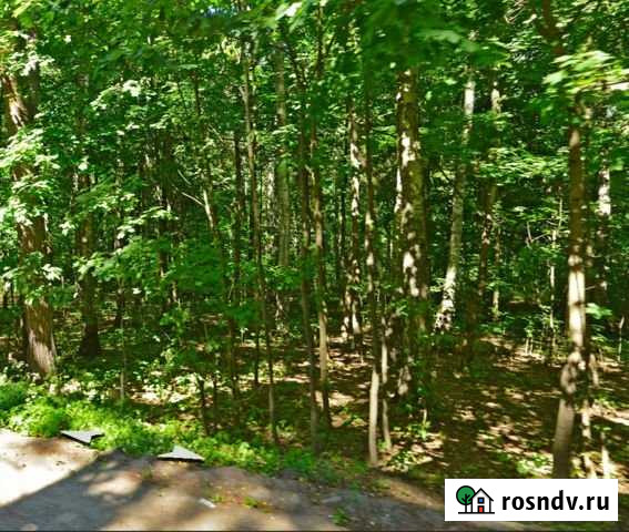 Участок ИЖС 95 сот. на продажу в Королеве Королев - изображение 1