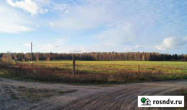 Участок ИЖС 15 сот. на продажу в Большом Селе Большое Село - изображение 1