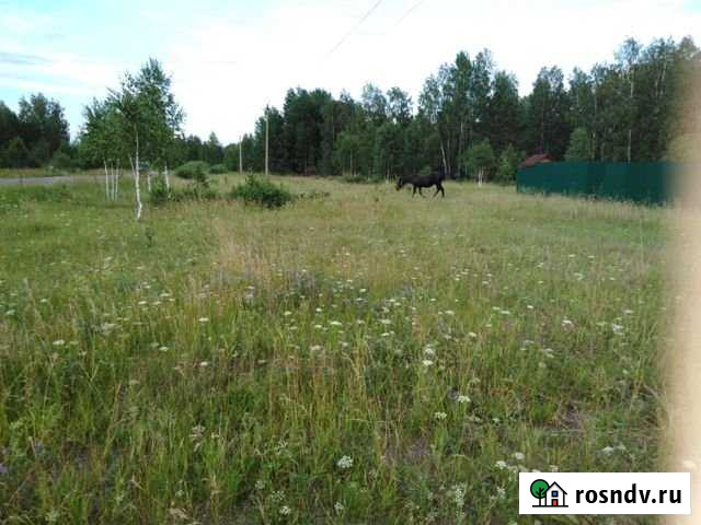 Участок СНТ, ДНП 940 сот. на продажу в Тюбуке Тюбук - изображение 1