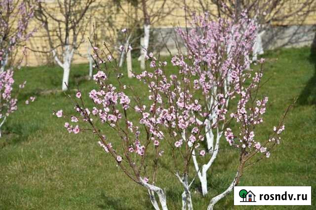 Участок ИЖС 7 сот. на продажу в Анапе Анапа - изображение 1