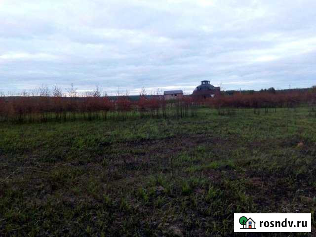 Участок ИЖС 32 сот. на продажу в Богородске Богородск - изображение 1