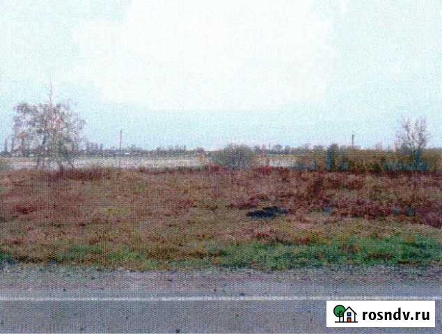 Участок ИЖС 12 сот. на продажу в Панино Панино - изображение 1